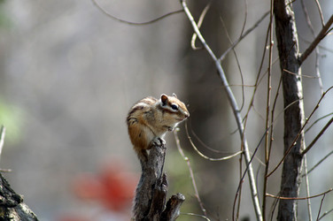 Similar image 2949377