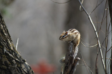 Similar image 2949379