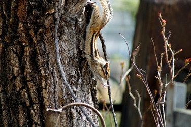 Similar image 2949380