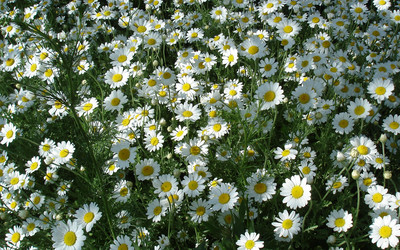 Similar image 2949397