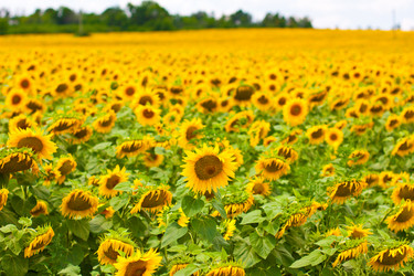 Similar image 2949410