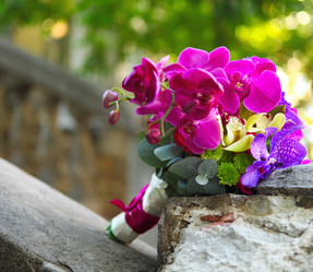 Similar image 2949556