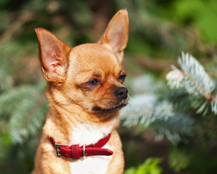 Similar image 2949614