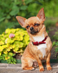 Similar image 2949616