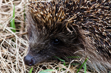 Similar image 2950083