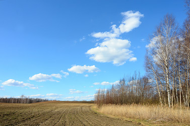 Similar image 2950085