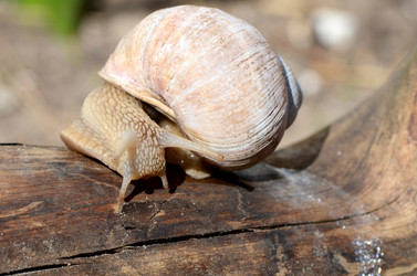 Similar image 2950087