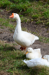 Similar image 2950089