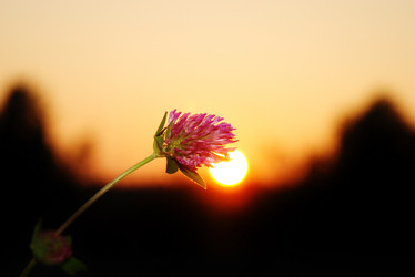 Similar image 2950093