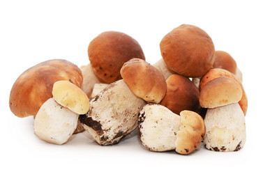 Similar image 2950120