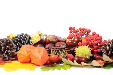 Similar image 2950134