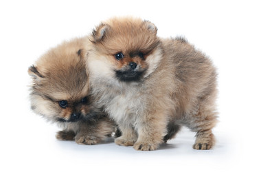 Similar image 2950160