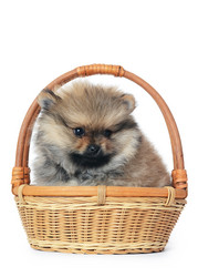 Similar image 2950161