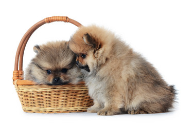 Similar image 2950172