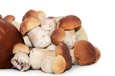 Similar image 2950186