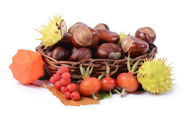 Similar image 2950232