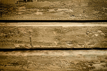 Similar image 2950249