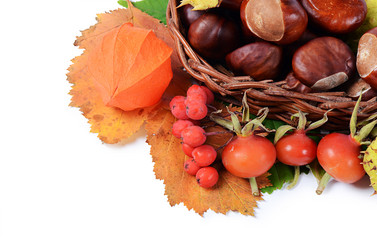 Similar image 2950297