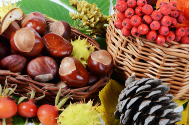 Similar image 2950298