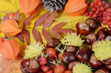 Similar image 2950299