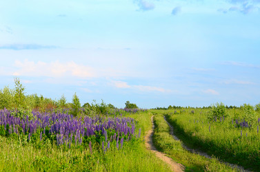 Similar image 2950311