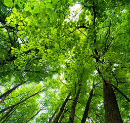 Similar image 2950342