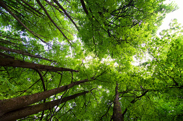 Similar image 2950343