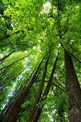 Similar image 2950360