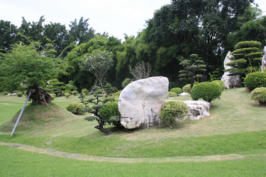 Similar image 2950555