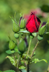 Similar image 2950561