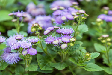 Similar image 2950565