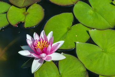 Similar image 2950566