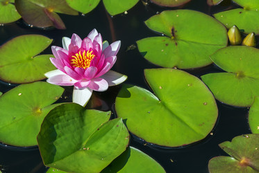 Similar image 2950567