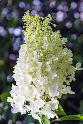 Similar image 2950570