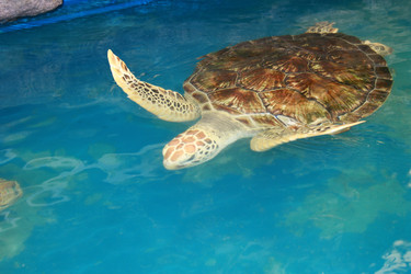 Similar image 2950573