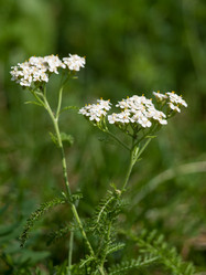 Similar image 2950722