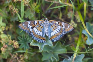 Similar image 2950727