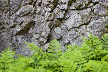 Similar image 2950728