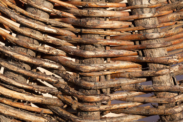 Similar image 2950744