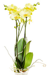 Similar image 2950753