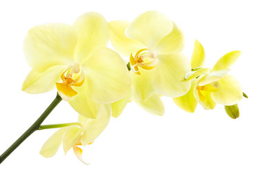 Similar image 2950754