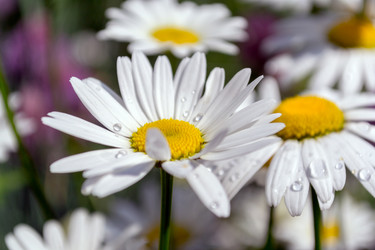 Similar image 2950759