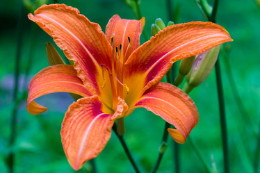 Similar image 2950760