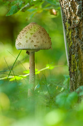 Similar image 2950777