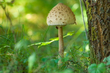 Similar image 2950780