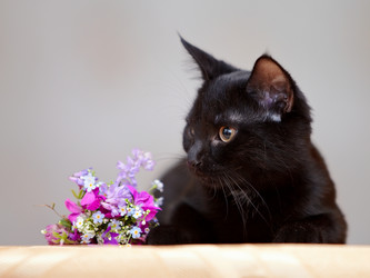 Similar image 2950783