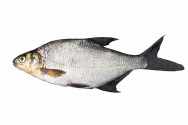 Similar image 2950802