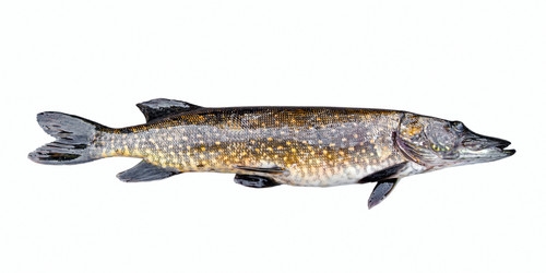 Similar image 2950803