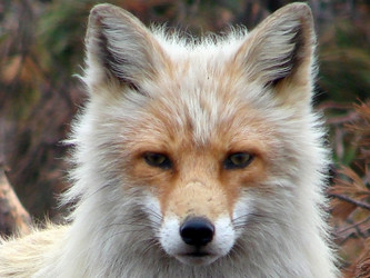 Similar image 2950811