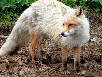 Similar image 2950812